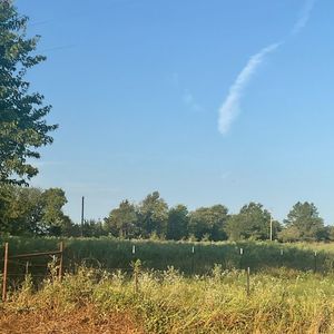 County Road 14400, Pattonville, TX, 75468