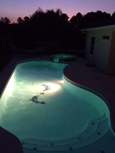 Backyard In Ground Pool