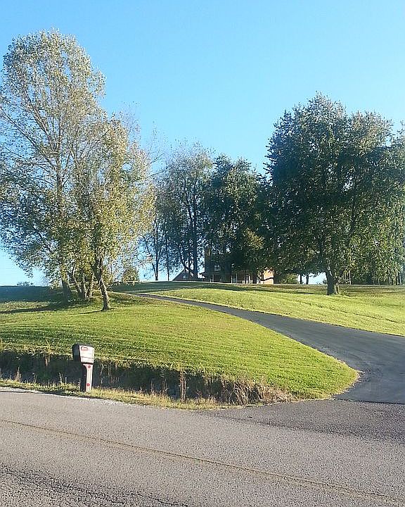 Driveway to home