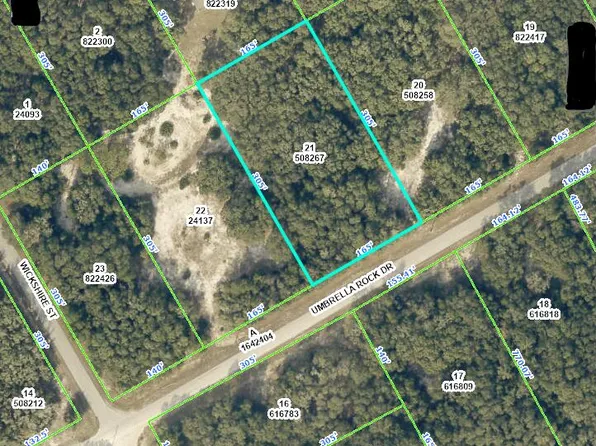 0 Umbrella Rock Drive, Webster, FL 33597