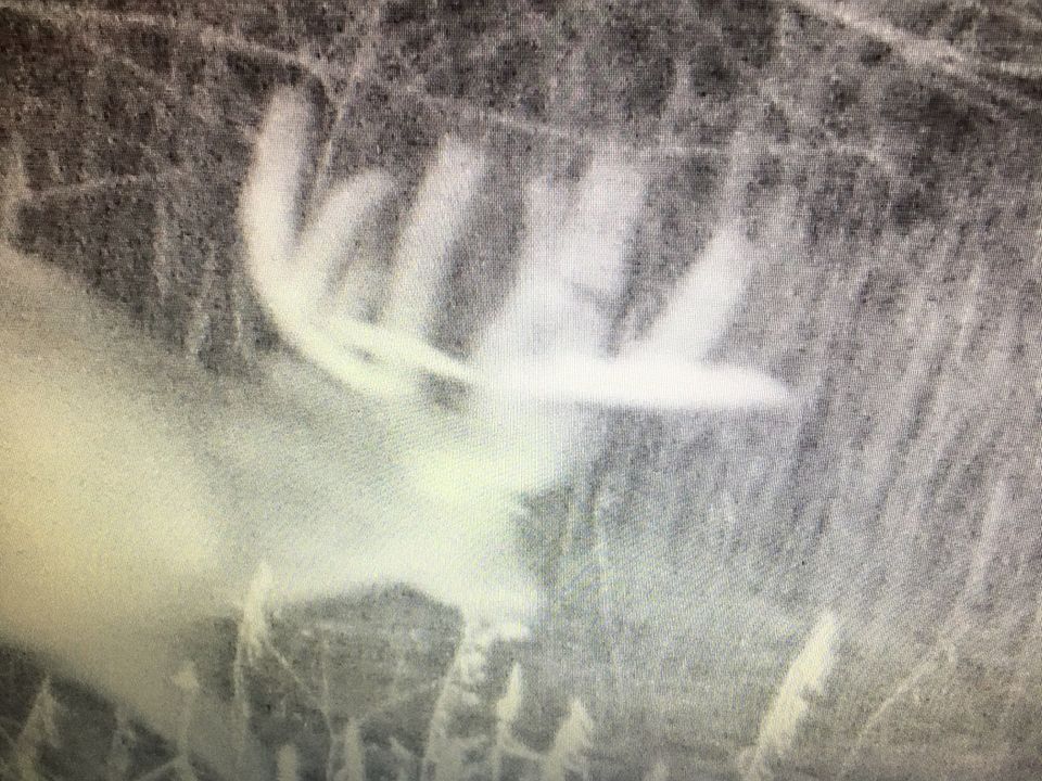 2nd image of 2399 River Rd