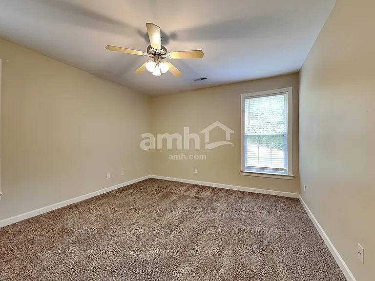 16 Greenbranch Way — Photo 8