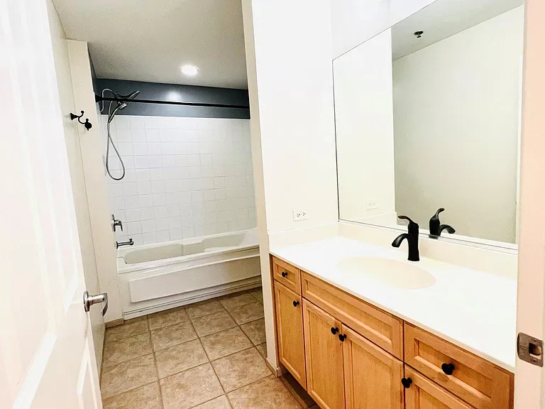 1250 S Michigan Ave #1208 — Photo 10