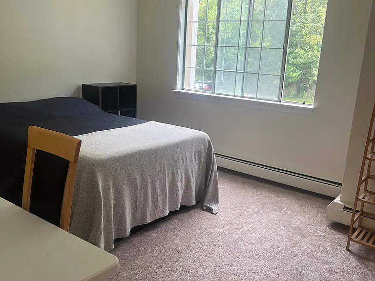 Carpeted and cozy bedroom, ceiling fan, with ample closet storage and work space.