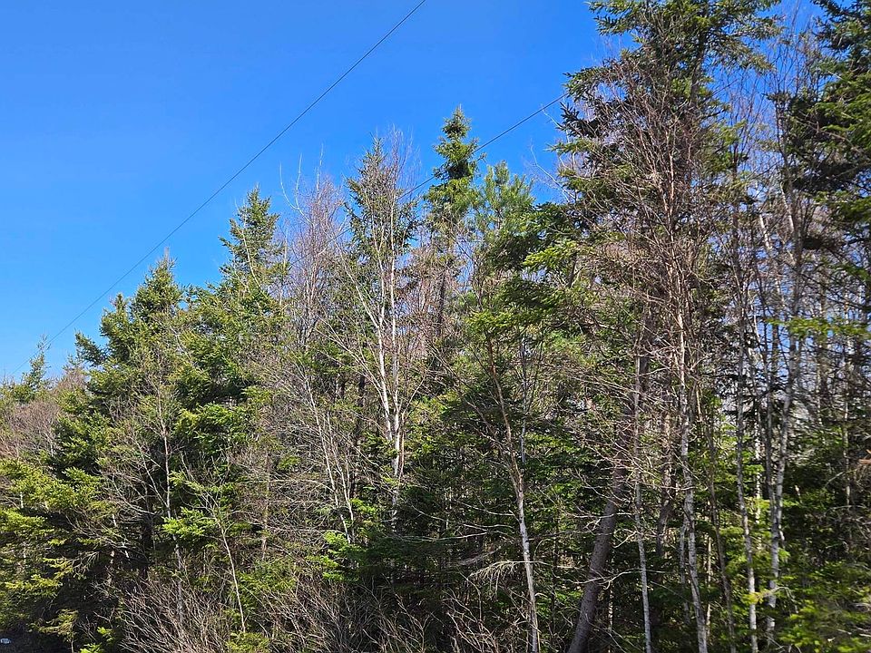 2nd image of Acreage Strathcona Rd