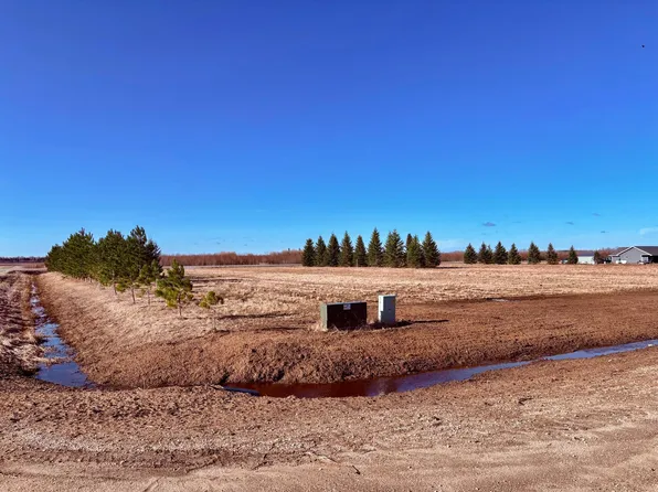 LOT 1 Badger Rd NW, Baudette, MN 56623