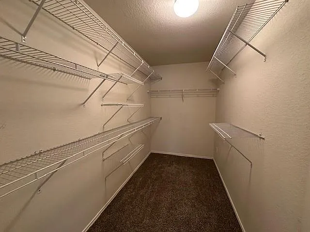 10426 Whisper Bluff Dr — Photo 13
