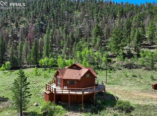 798 Stream Ln, Guffey, CO 80820