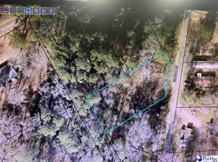 413 Graham St, Society Hill, SC 29593