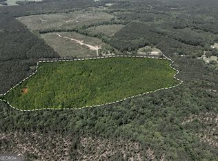 3678 Lundburg Rd, Washington, GA 30673