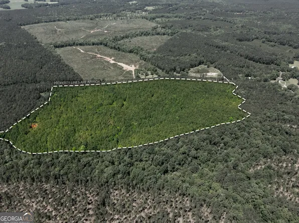 3678 Lundburg Rd, Washington, GA 30673