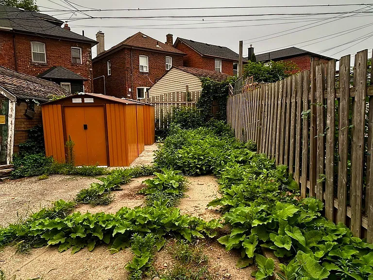 659 Vaughan Rd #3 — Photo 17