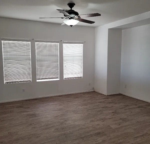 Lots of natural sunlight.