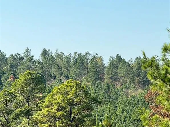 21 Charmed Ridge Ln #1, Broken Bow, OK 74728