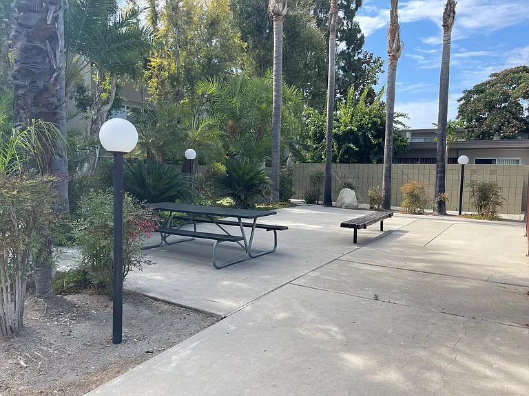 Palm Terrace Apartments — Photo 6