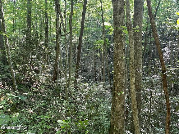 4th image of 76 Sycamore Dr Lot 76