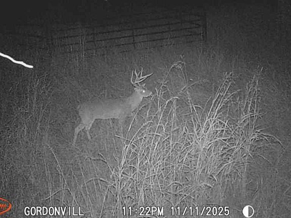 2nd image of 1648 Gordonville Rd