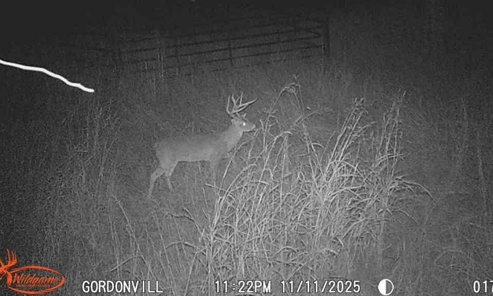 1st image of 1648 Gordonville Rd