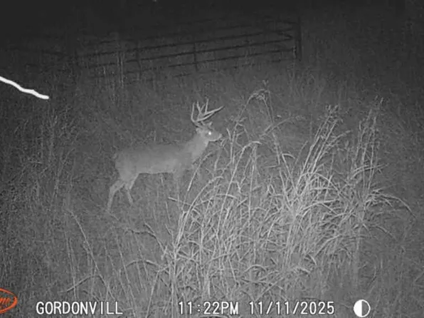 1648 Gordonville Rd, Gordonville, TX 76245