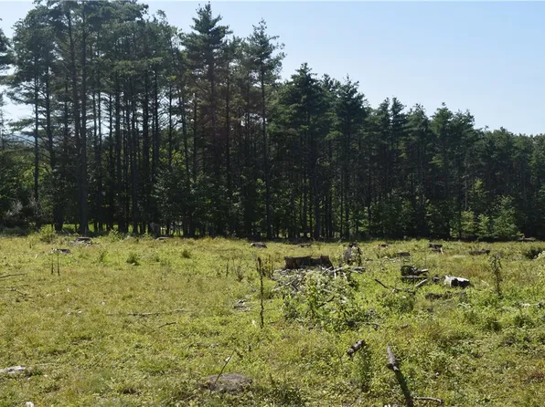 LOT 21 Anthony Rd #1, Cairo, NY 12413