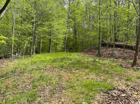 0 Blake Rd, Eddyville, KY 42038