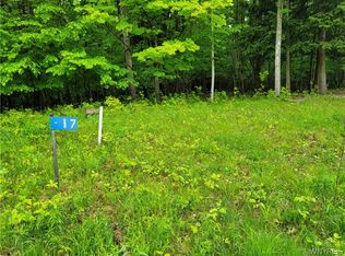 0 County Road 24 Grv LOT 17, Swain, NY