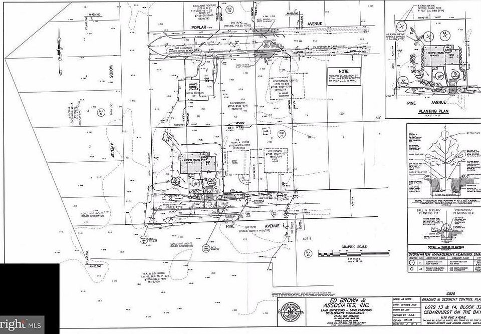2nd image of Pine Ave