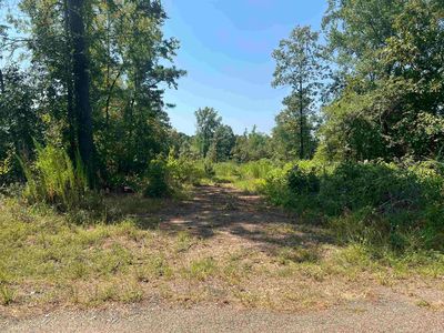 Ozark Loop, Bismarck, AR, 71929