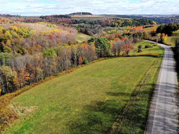 3621 Brown Hill Rd, Cohocton, NY 14826