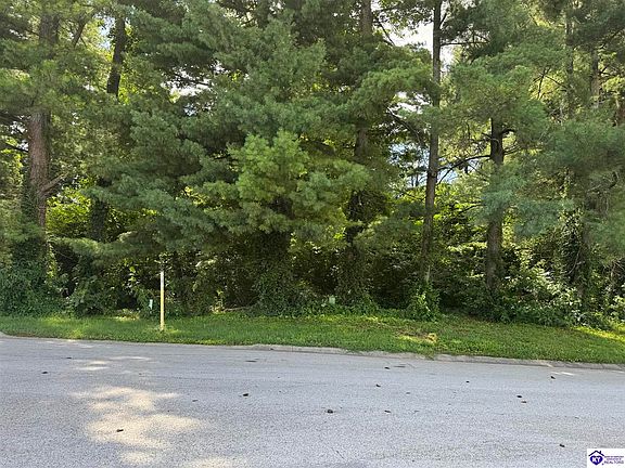 5th image of 210 Hunter Ln