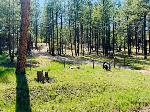 2752 Pine Valley Rd, Happy Jack, AZ 86024