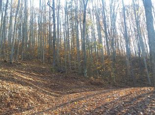 494 Old Cherry Mountain Trl, Hayesville, NC 28904