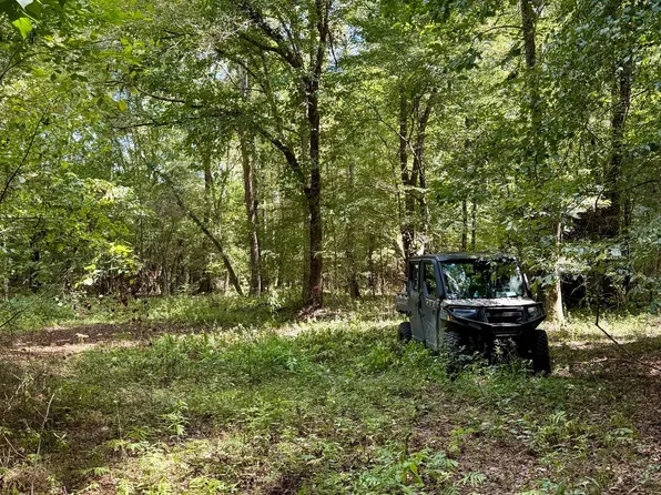 County Road 6605, Troy, AL 36081