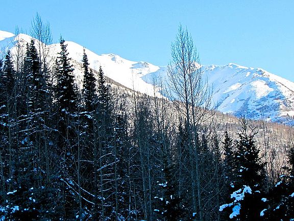 East views