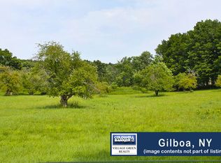 114 Toles Hollow Rd, Gilboa, NY 12076