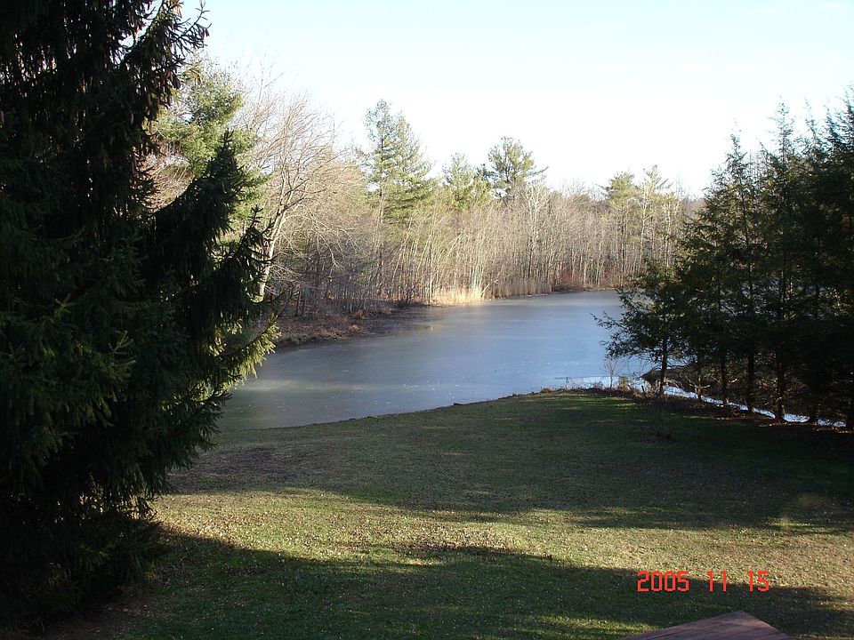 Backyard view