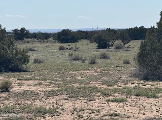 Lot 531 Woodland Valley Ranch -- #531, St Johns, AZ 85936