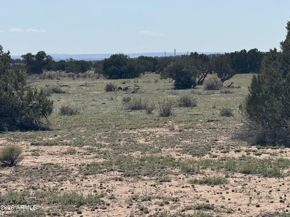 Lot 531 Woodland Valley Ranch -- #531, St Johns, AZ 85936