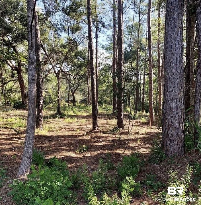 1st image of 3 Heron Cove Ln