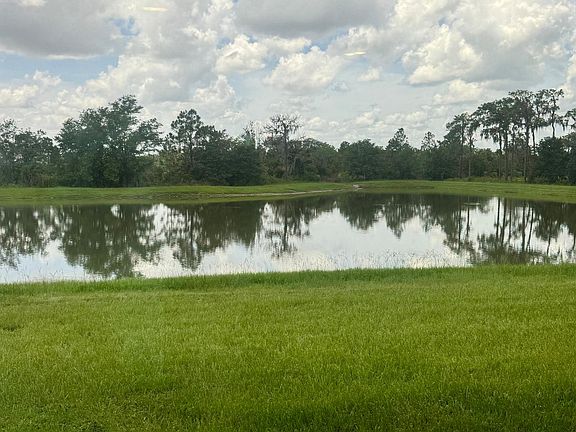 5th image of 33010 Major Oak Dr