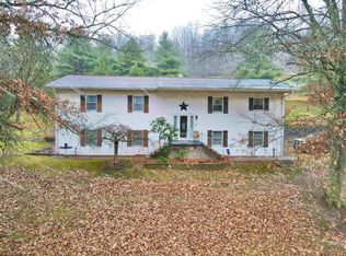 553 Pogue Run Rd, Burton, WV 26562