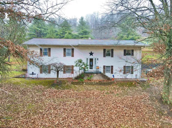 553 Pogue Run Rd, Burton, WV 26562