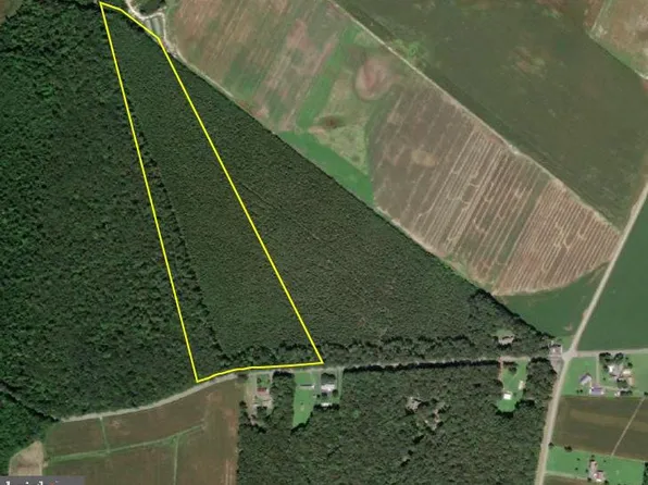 Route 42/deer Forest Rd, Bridgeville, DE 19933