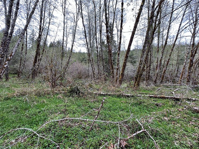 4th image of 0 Lot 3 Abernathy Creek Road