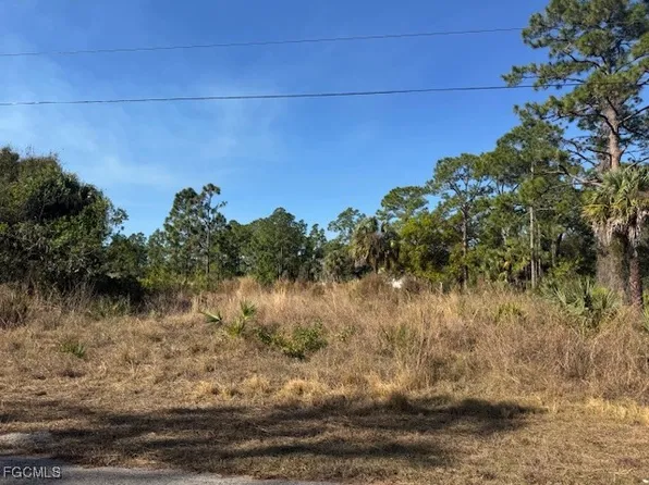 2117 Moore Ave, Alva, FL 33920