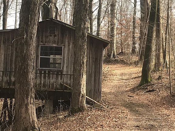 3rd image of 303 Dryden Ln