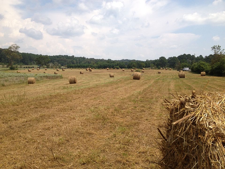  5 Beautiful Acreage 