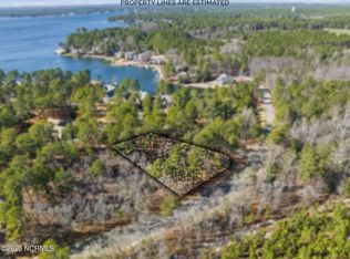 447 Longleaf Dr, West End, NC 27376