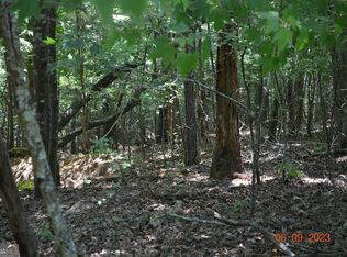 0 Malory Cir LOT 1422, Ellijay, GA 30540