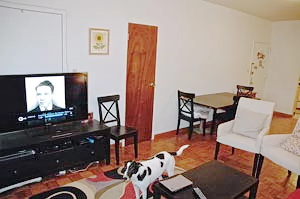 Rented by Boerum Hill Realty | media 41